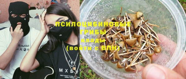 прущая мука Осташков
