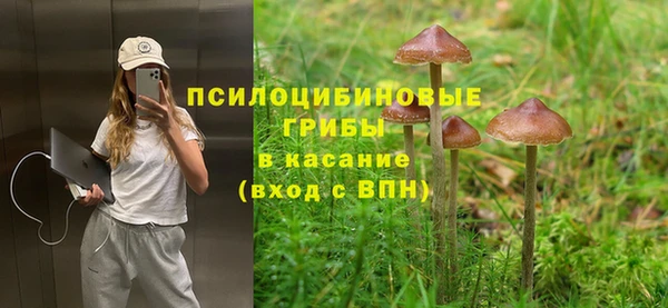 прущая мука Осташков