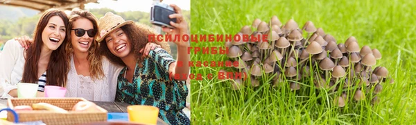 прущая мука Осташков