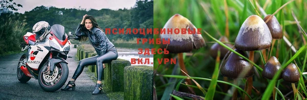 прущая мука Осташков