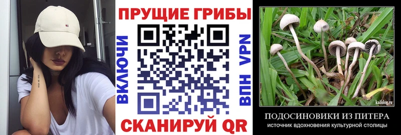Галлюциногенные грибы Magic Shrooms  мега вход  Нестеровская  закладка 