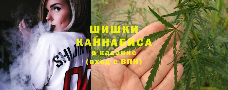 наркотики  Нестеровская  Бошки Шишки Ganja 